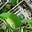 Profit Greenly's avatar