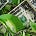 Profit Greenly's avatar