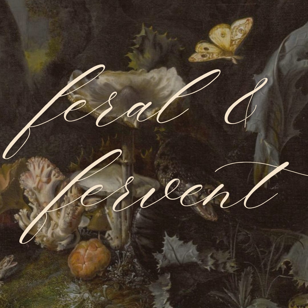 feral & fervent