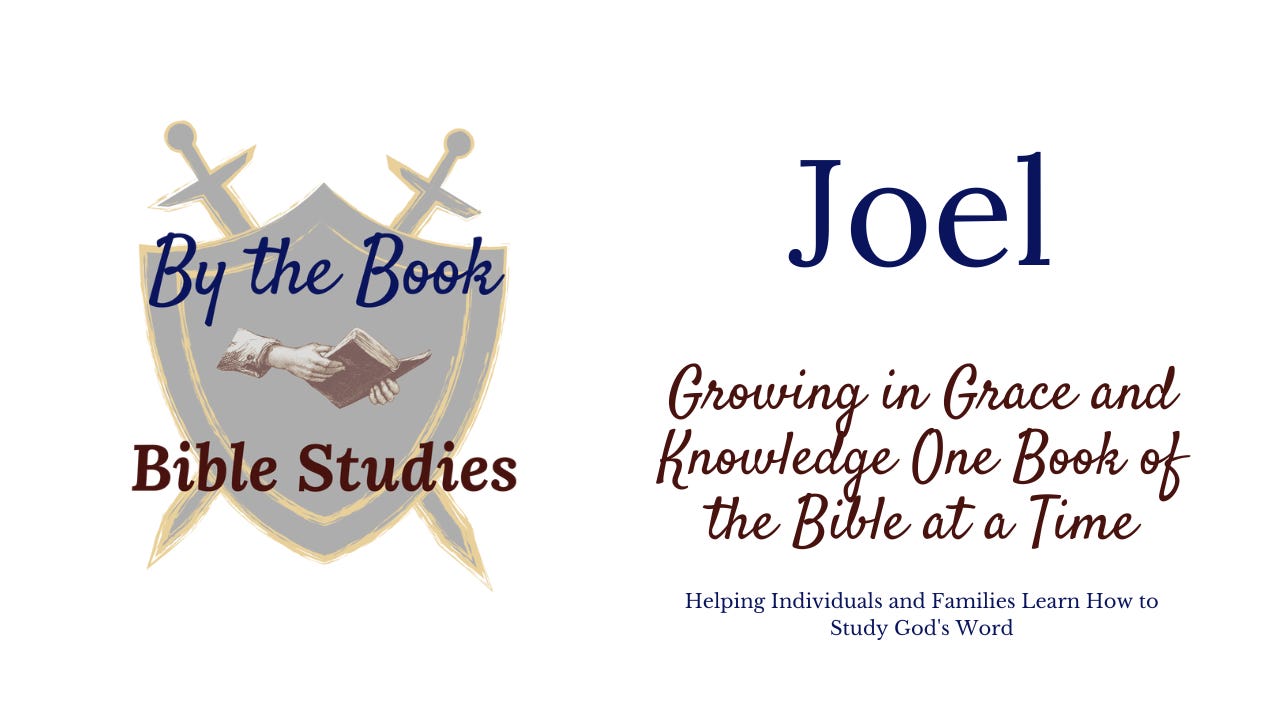 BtB Joel by Angela Legg The Diligent Woman