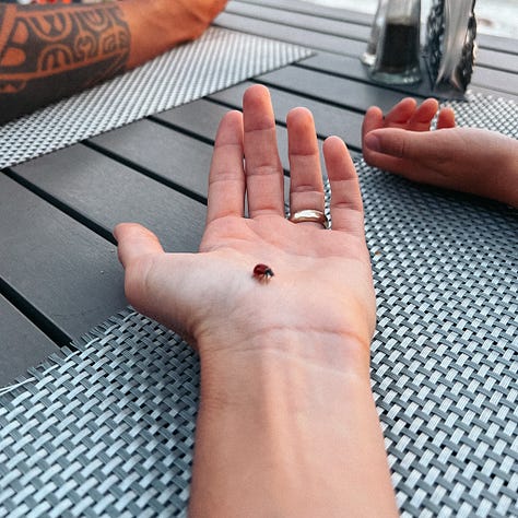 La seule manière dont les esprits m'ont parlé était à travers le message des coccinelles