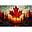 🇨🇦 Natalie Woodn’t 🇨🇦's avatar