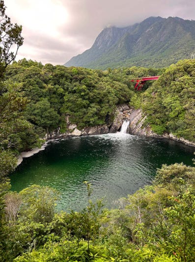 Toroki Waterfall Eye to eye with the monkey (x15) - by Emma Holgate