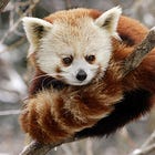 Republicans Care As Much About Biden's Prostate Cancer As They Do Anything Else (Not At All)