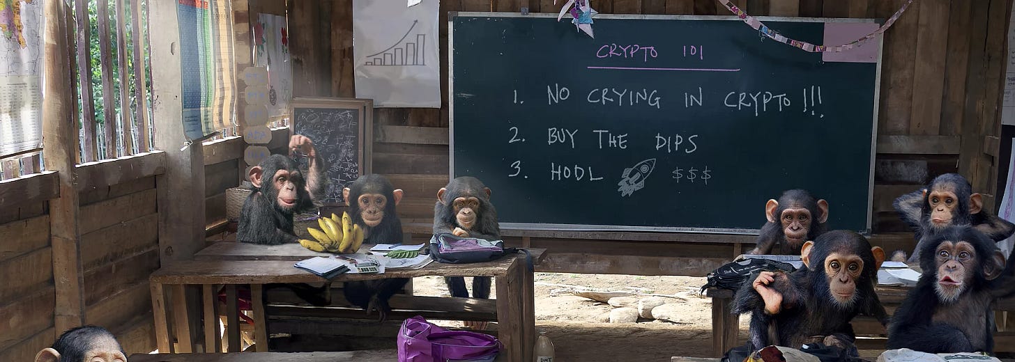hodl_lesson_v008.jpg