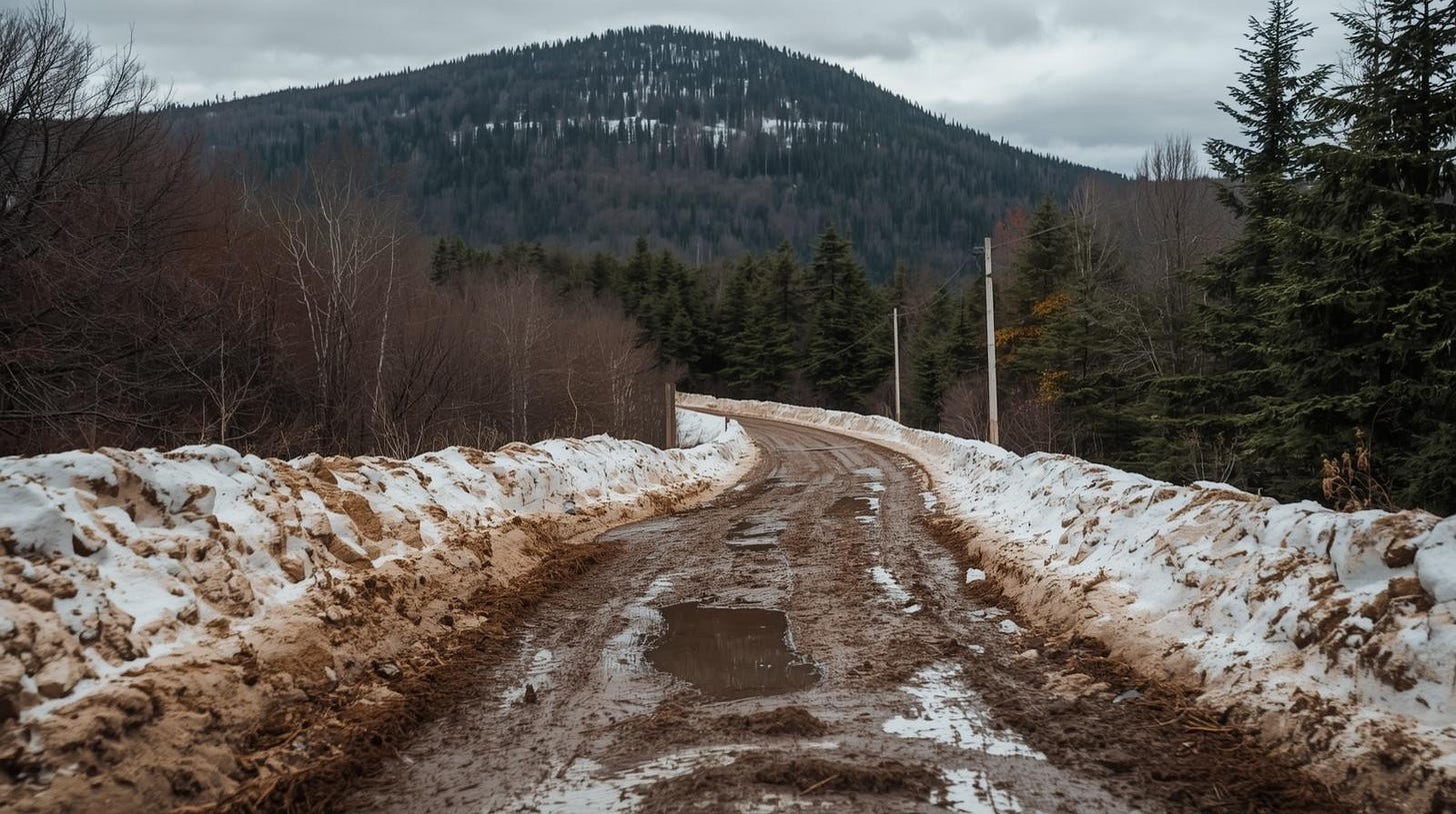 march in maine is no picnic march in maine is no picnic