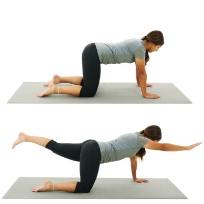 4 QUADRUPED ALTERNATE ARM AND LEG - BIRD DOG - Denver Physical Therapy ...