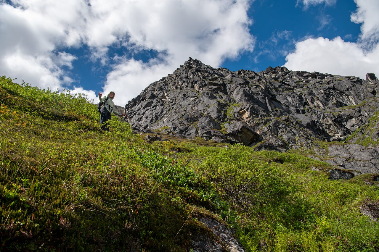 Looking up a steep slope of green brush and tundra toward a hiker in a pale green sun hoody and dark pants, who pauses mid-climb to wave down at the camera. Above her, a dark crag of fractured rock rises against a blue sky with bright white clouds. The angle of the shot makes the hillside fill the lower half of the frame. Looking up a steep slope of green brush and tundra toward a hiker in a pale green sun hoody and dark pants, who pauses mid-climb to wave down at the camera. Above her, a dark crag of fractured rock rises against a blue sky with bright white clouds. The angle of the shot makes the hillside fill the lower half of the frame.