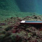 Consider a weekend without your phone