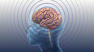 Setting standards of care for brain injuries in first responders Setting standards of care for brain injuries in first responders