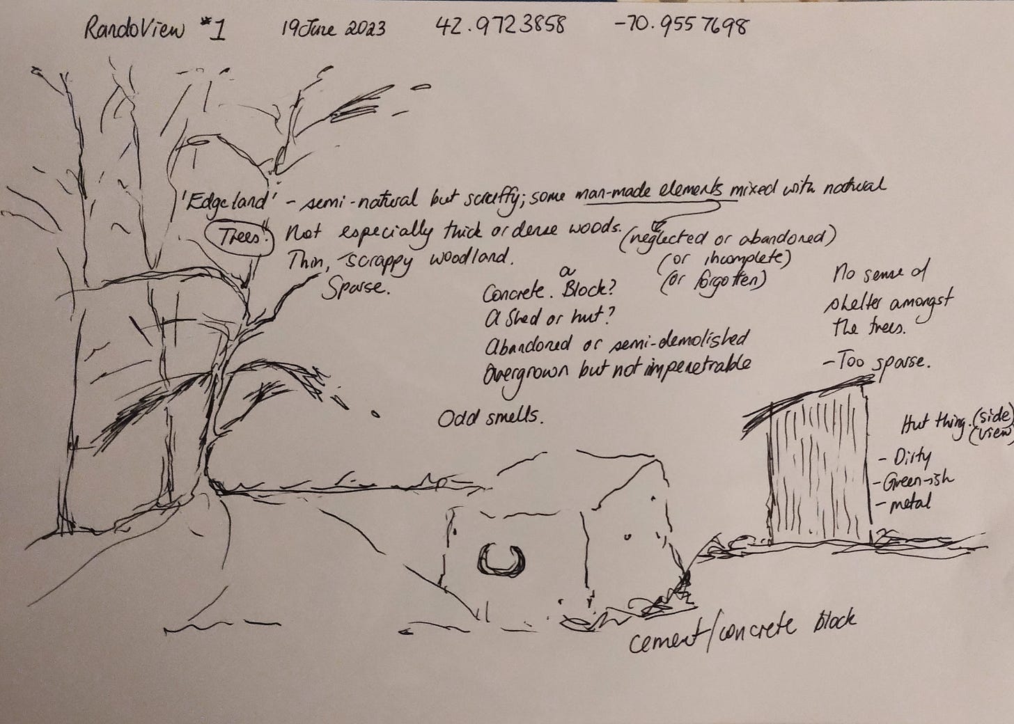 Remote Viewing notes from Viewer #3