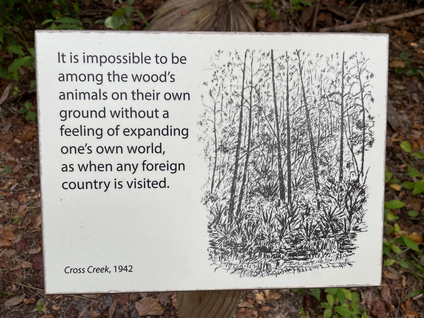 A sign with a quote from Marjorie Kinnan Rawlings' works. A sign with a quote from Marjorie Kinnan Rawlings' works.