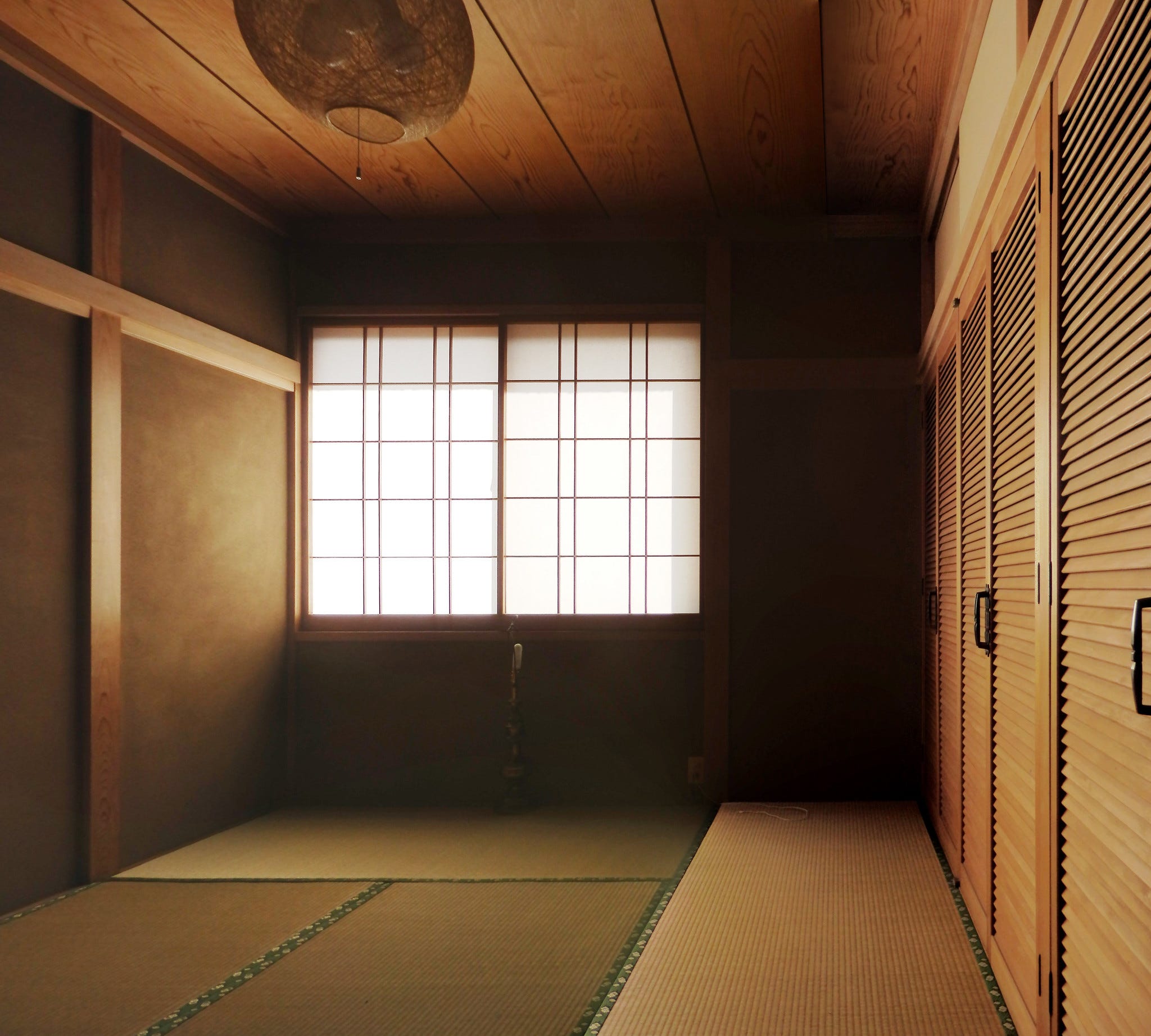 The Perpetual Beginner