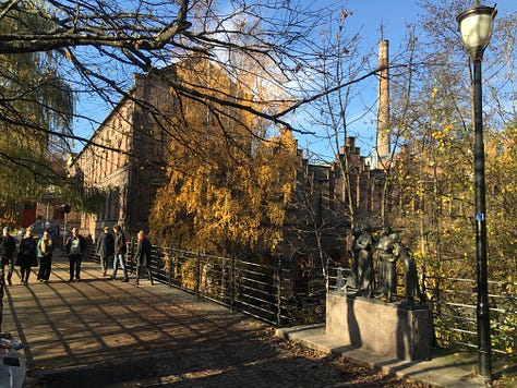 Images of vibrantly-colored autumn leaves in Oslo.