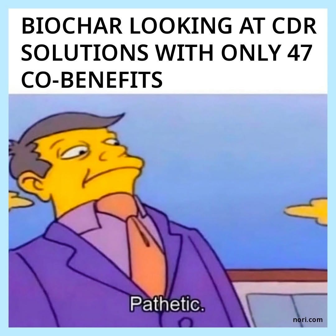 Principal Skinner from The Simpsons glancing sideways, captioned "Biochar looking at CDR solutions with only 47 co-benefits" and "Pathetic."