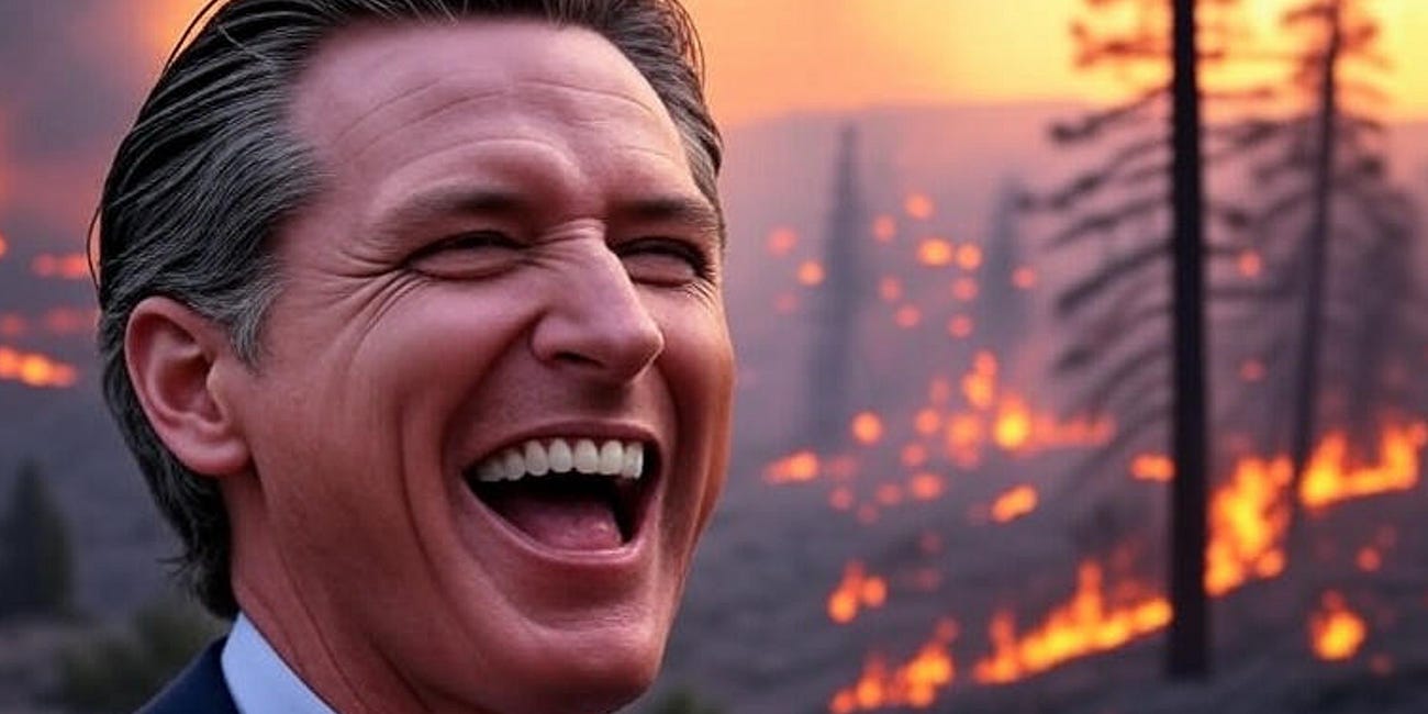 Gavin Newsom Understands America’s Elections Crisis As Well As I Do - Here’s the Proof