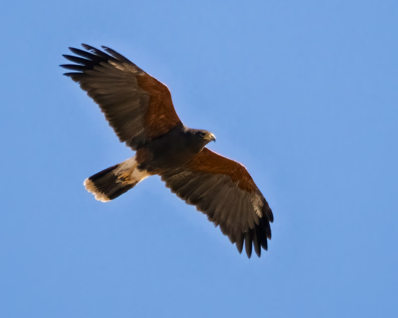 20260305-HH-179-Edit.jpg 20260305-HH-179-Edit.jpg