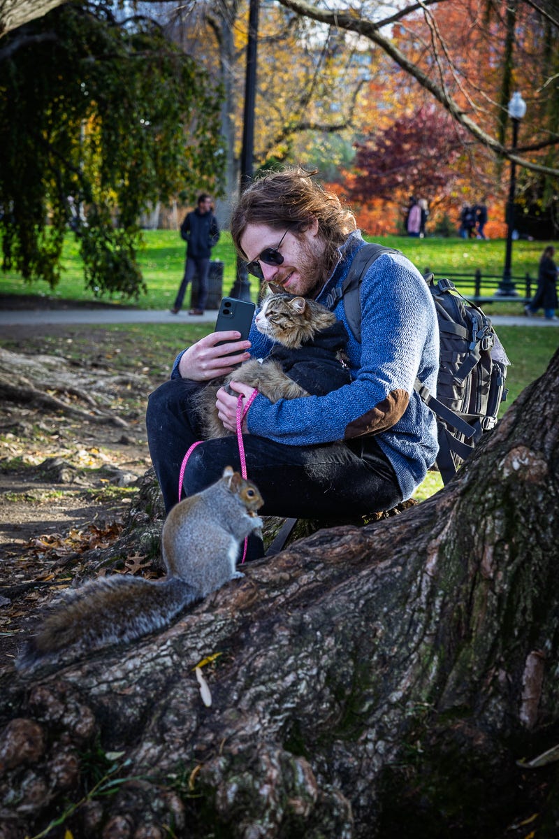 man taking a photo with his cat as a squirrel sits nearby on a tree trunk in the park