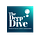 The Deep Dive Newsletter