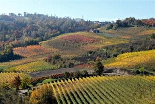 Barolo - Jim's shot 3 Barolo - Jim's shot 3