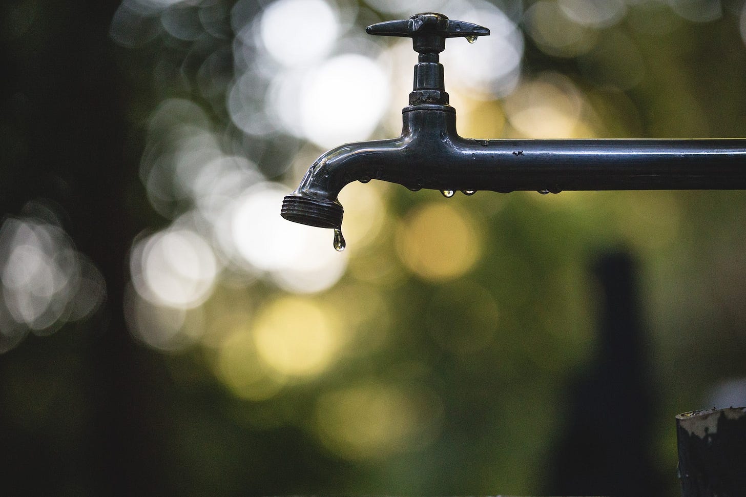 Irrigation of the Dry Places of Life Irrigation of the Dry Places of Life