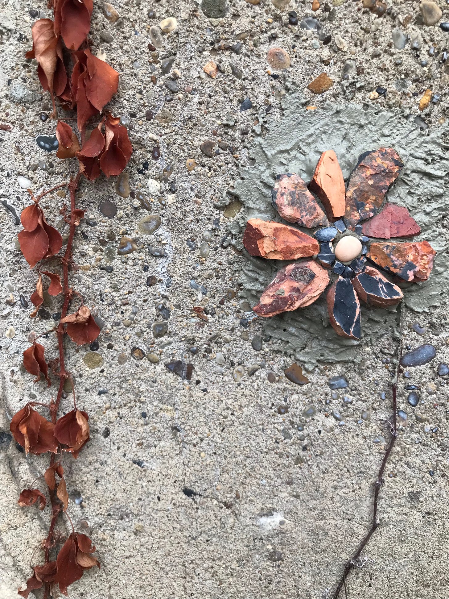 A close-up of a mosaic flower made of red and black stone on a concrete wall with lots of embedded pebbles.  A dried vine on the wall forms a stem for the flower.