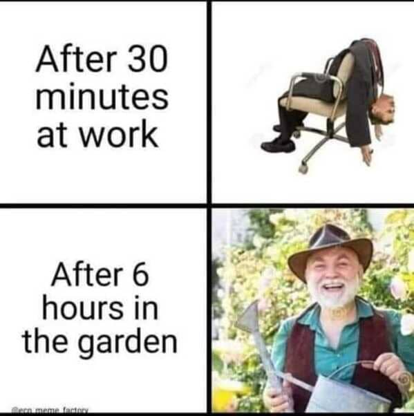 Gardening memes Gardening memes