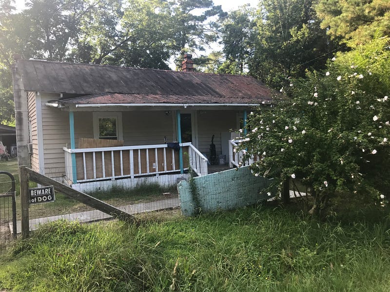Old tan house one story house with a bluish white porch and dark brown, rotting roof. In front of the house is a wooden, partially broken gate with a “beware of dogs sign” . There’s a large green bush with white hibiscus flowers in front of the gate
