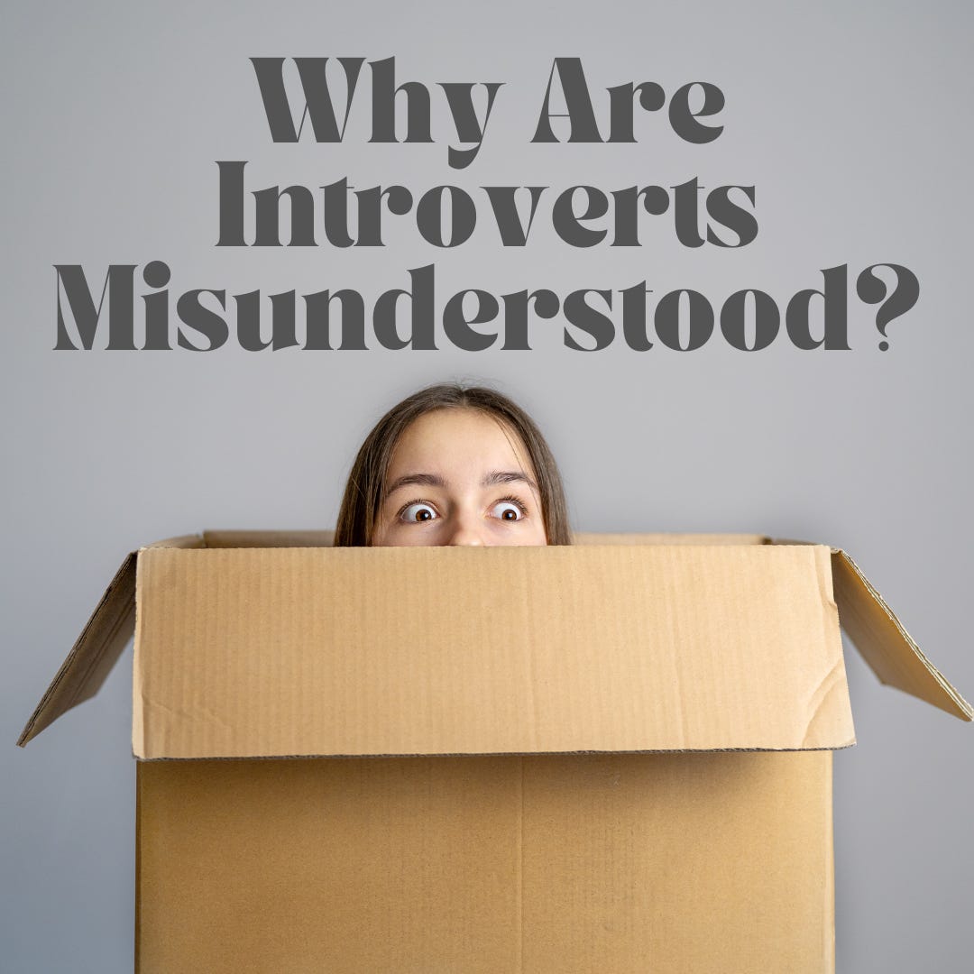 Why Are Introverts Always Misunderstood? - by Aritra Sen