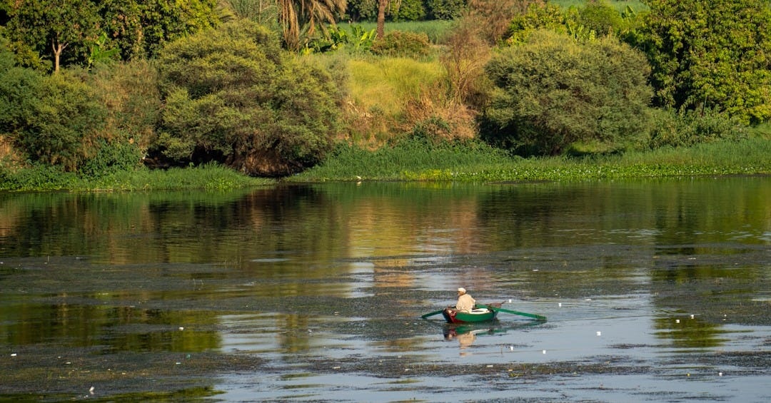 a person in a kayak in a lake surrounded by trees
