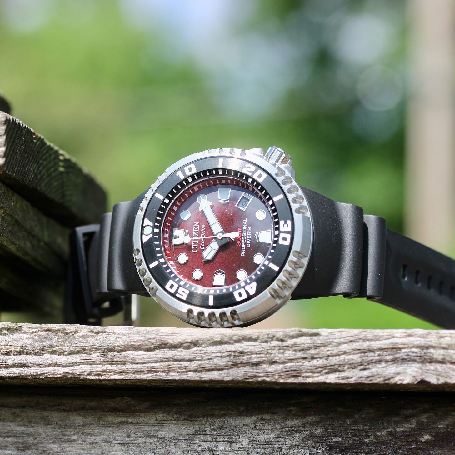 Citizen Promaster Dive E365: in evaluate 2