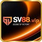 SV88's avatar