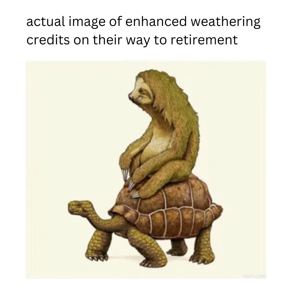 "actual image of enhanced weathering credits on their way to retirement" above an illustration of a sloth riding on the back of a tortoise.
