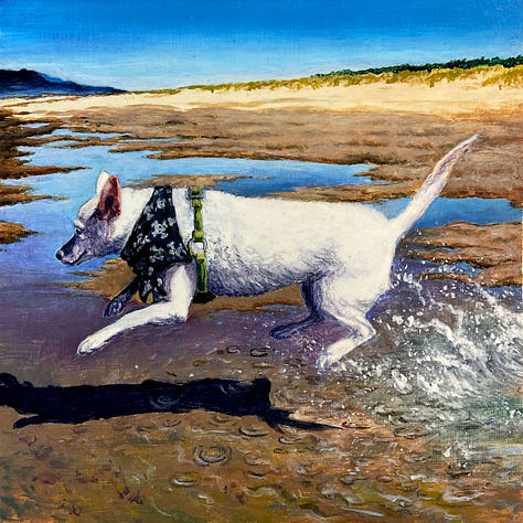 Zeke On The Beach, 1- Running, 2-Laughing, 3- Forever floating above the water.