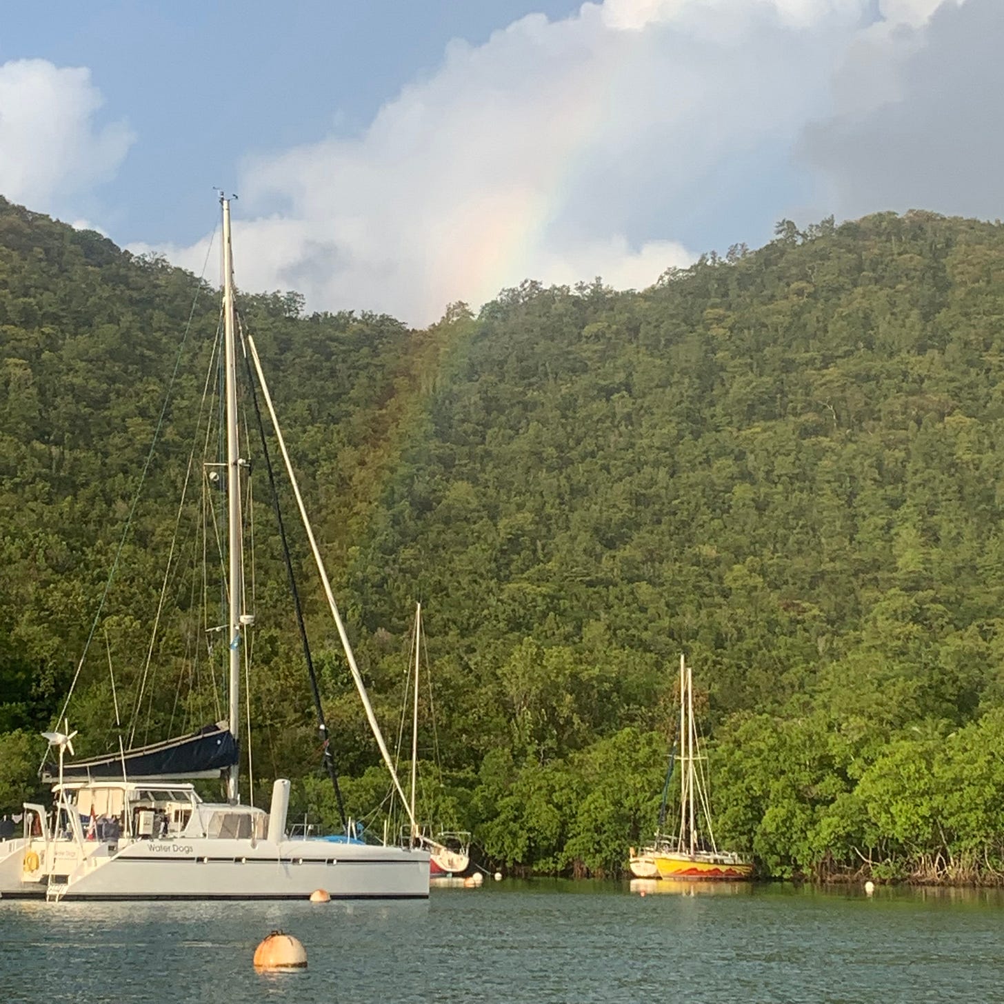 Mangrove protected shoreline St Lucia