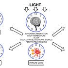 Cortisol Part I: Stop the anti-cortisol rhetoric