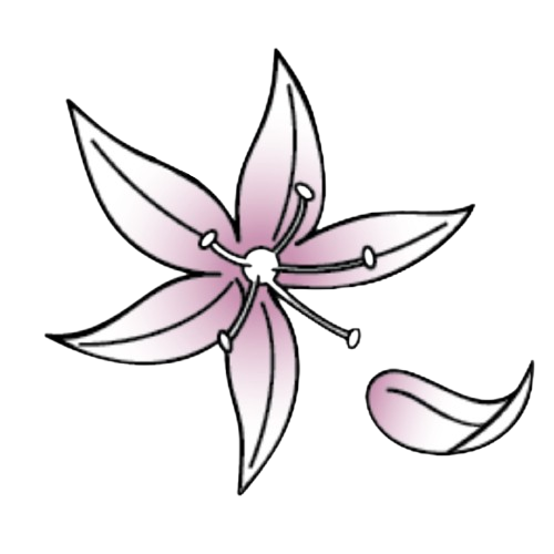 Living the Questions by Mariana Louis