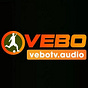 vebotvaudio's avatar