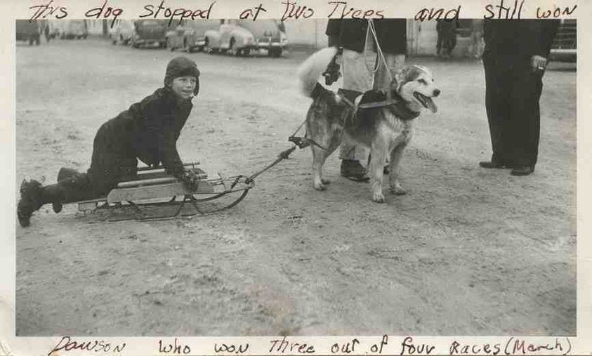 Kid's sled dog race in Anchorage, Alaska.