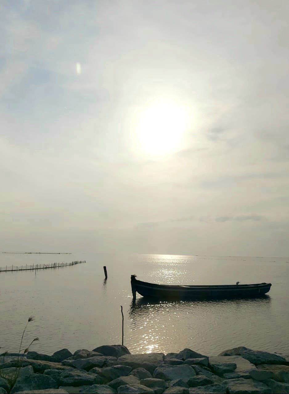 Between Silence and Truth