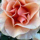 August 12: Monday Heart Magick
