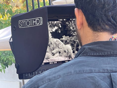 Images of Lucky on set with Weird Al Yankovich and Kestrin Pantera