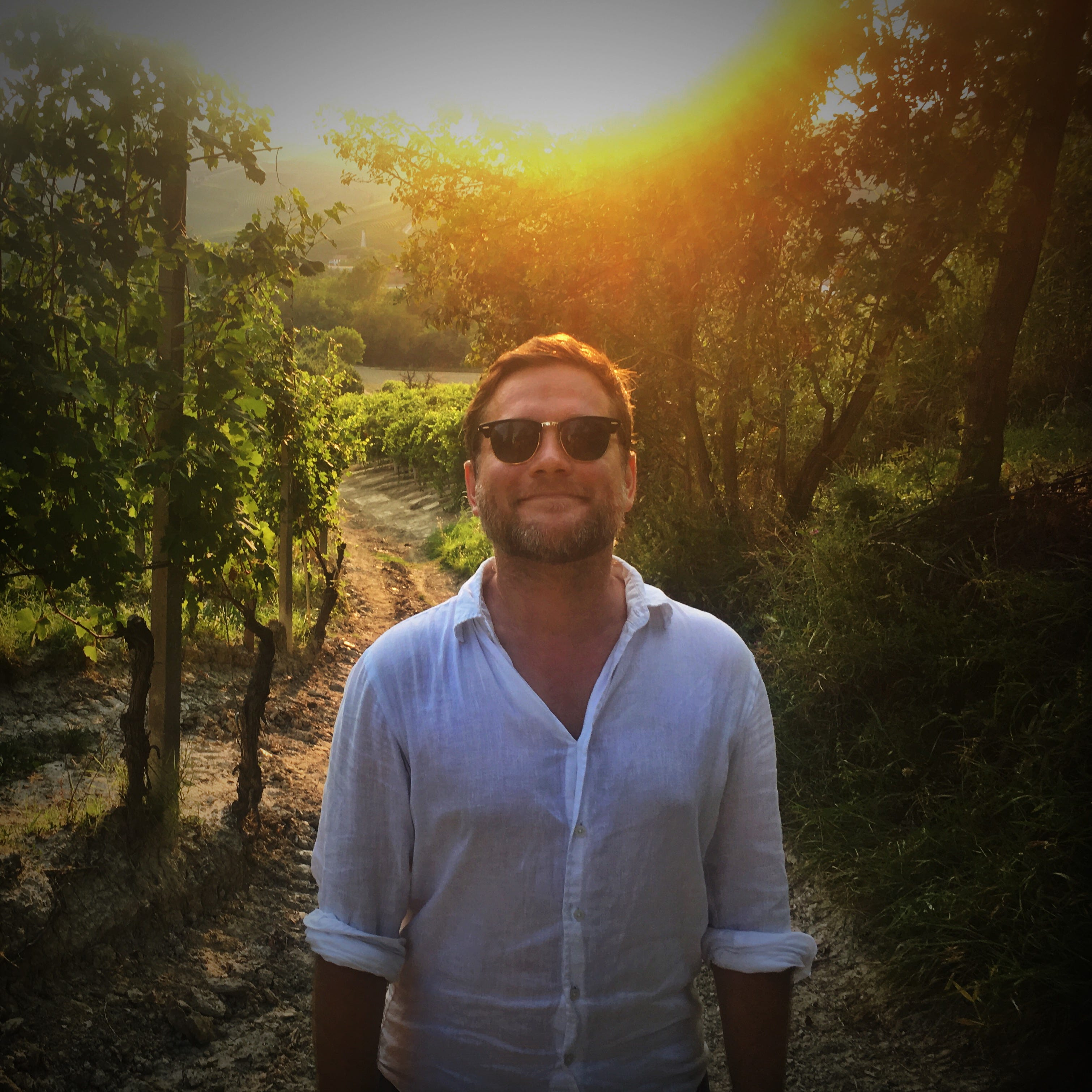 Surf Rock: The Surfaris - by Mark - classified