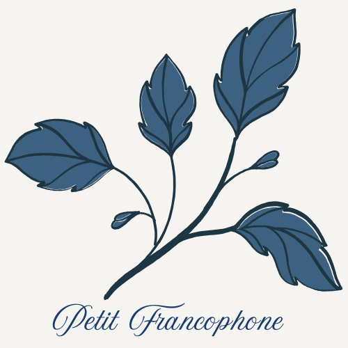 Petit Francophone – French for Kids & Parents
