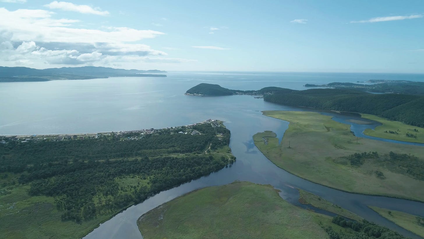 Aerial top view of river flowing into the blue sea on sunny day. Concept  for ecology, nature, rivers, water.