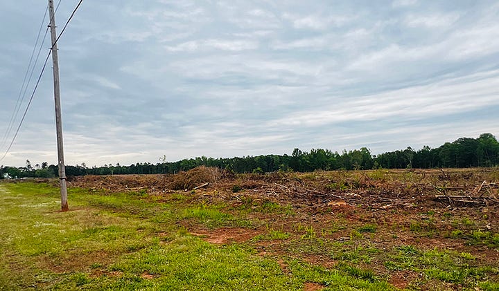 A section of clearcut trees.