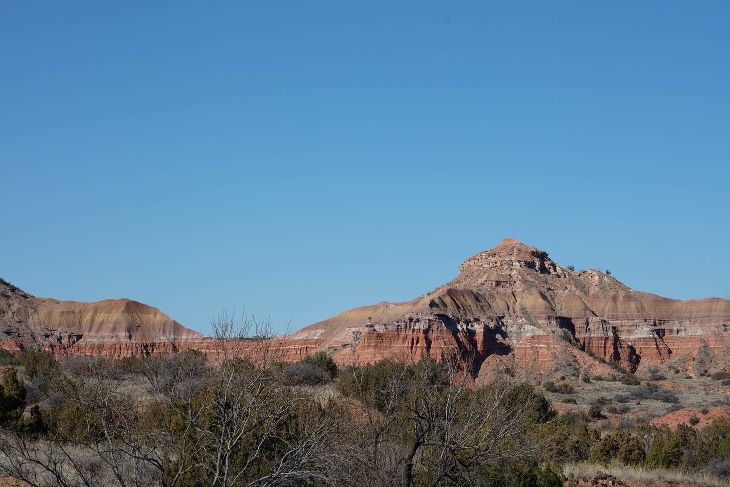 Blue sky above many peaks and layers of canyon colors -- shades of orange, tan, gold, and pink, with bare deciduous trees and dark green junipers closer to the foreground.