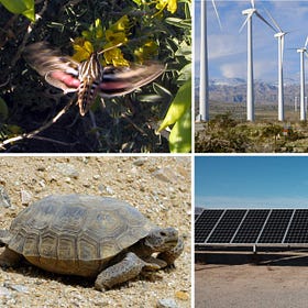 “No” to a “Green Energy Transition”—“Yes” to an “Energy Reduction Transition”