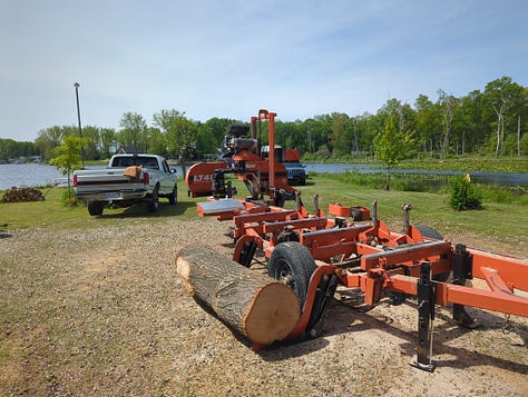 New pullets on-site, lumber logistics and milling, a snapping turtle, and more