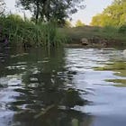 Holding Onto the River with Both Hands